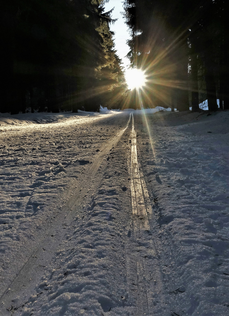 Spuren im Schnee 1