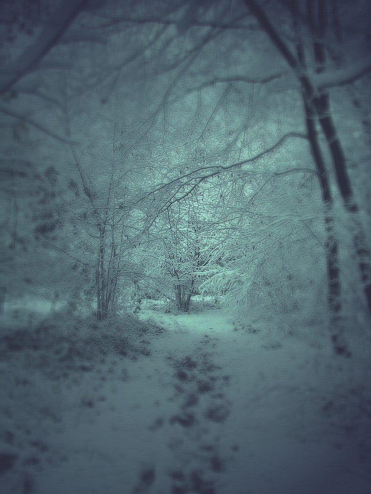 Spuren im Schnee von stella cadente 12 