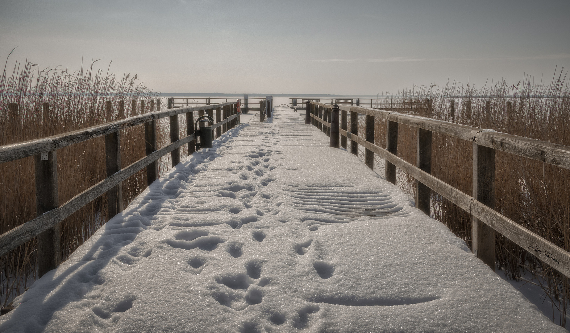 Spuren im Schnee