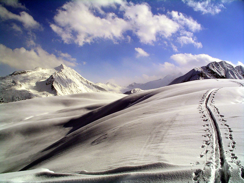 "Spuren im Schnee"