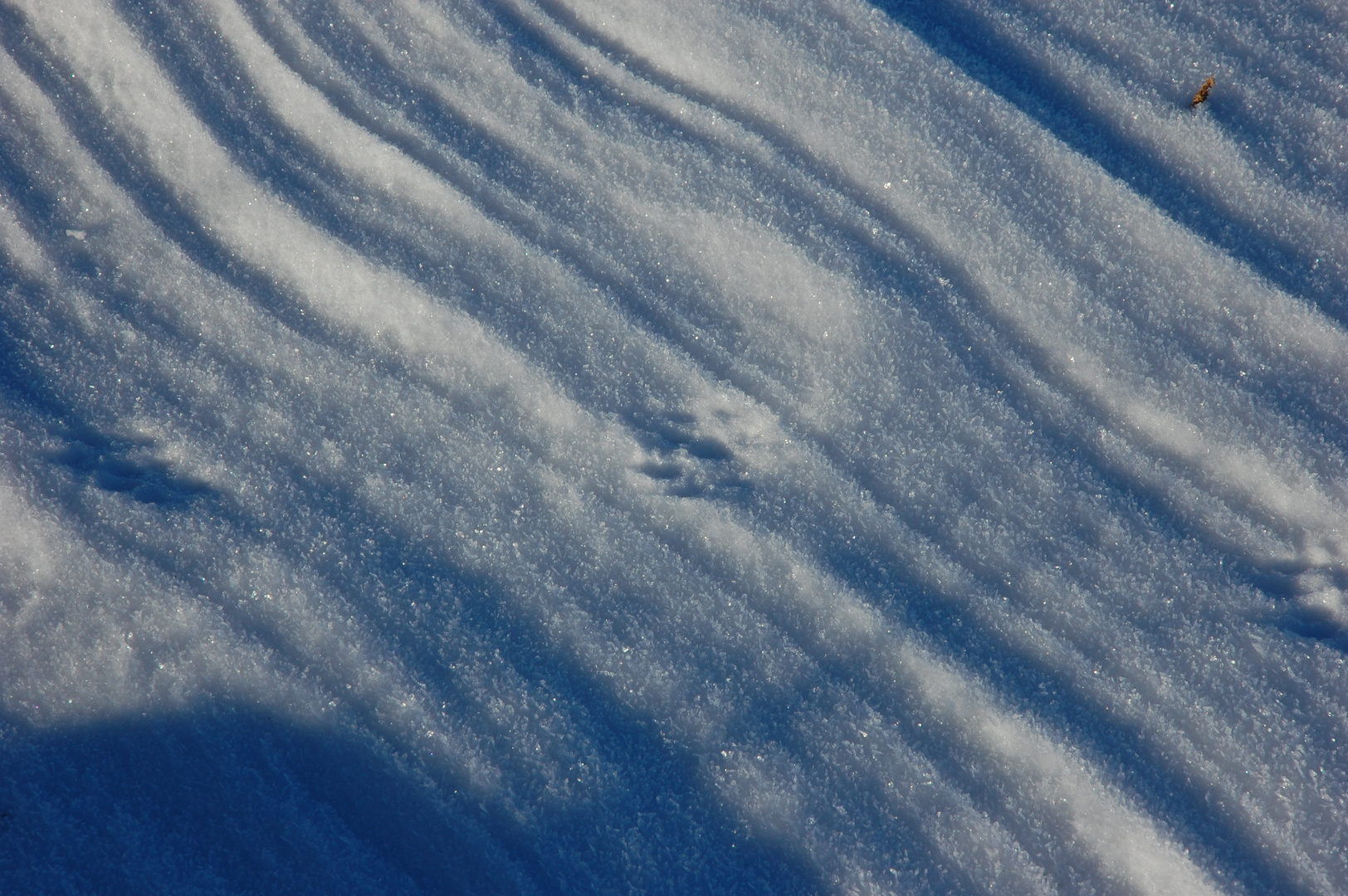 Spuren im Schnee