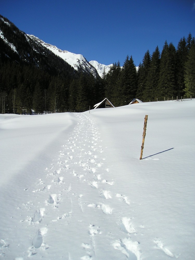 Spuren im Schnee