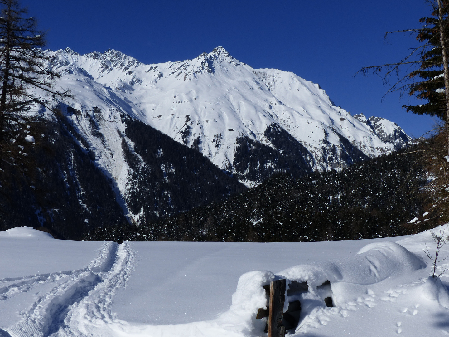 Spuren im Schnee