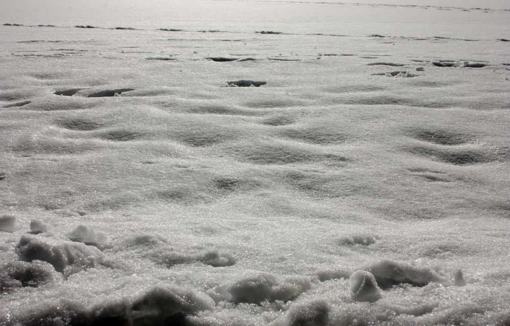 Spuren im Schnee