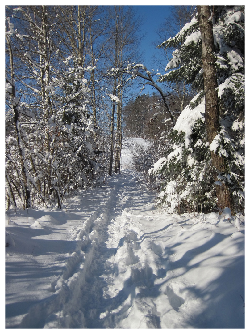 Spuren im Schnee ....