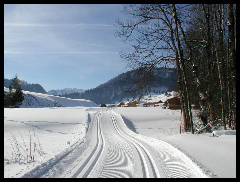 Spuren im Schnee