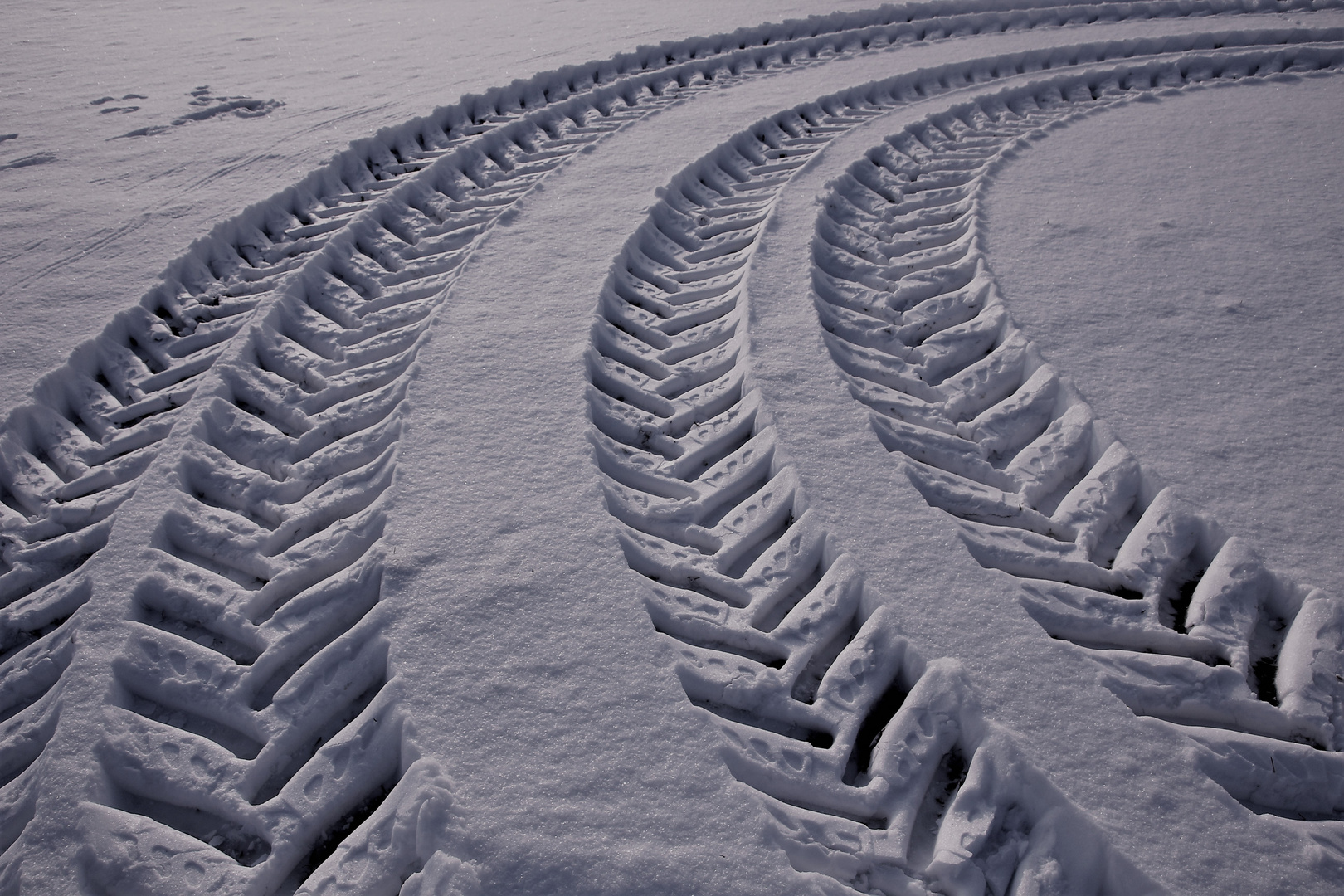 spuren-im-schnee-157edc01-e836-41b7-8a35-a51e5963695b.jpg