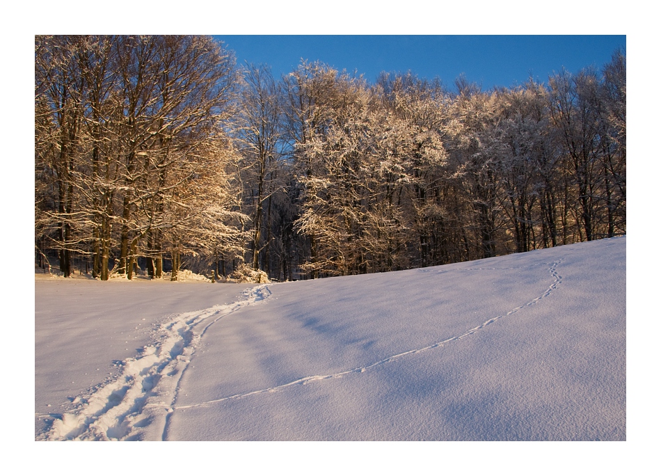 Spuren im Schnee