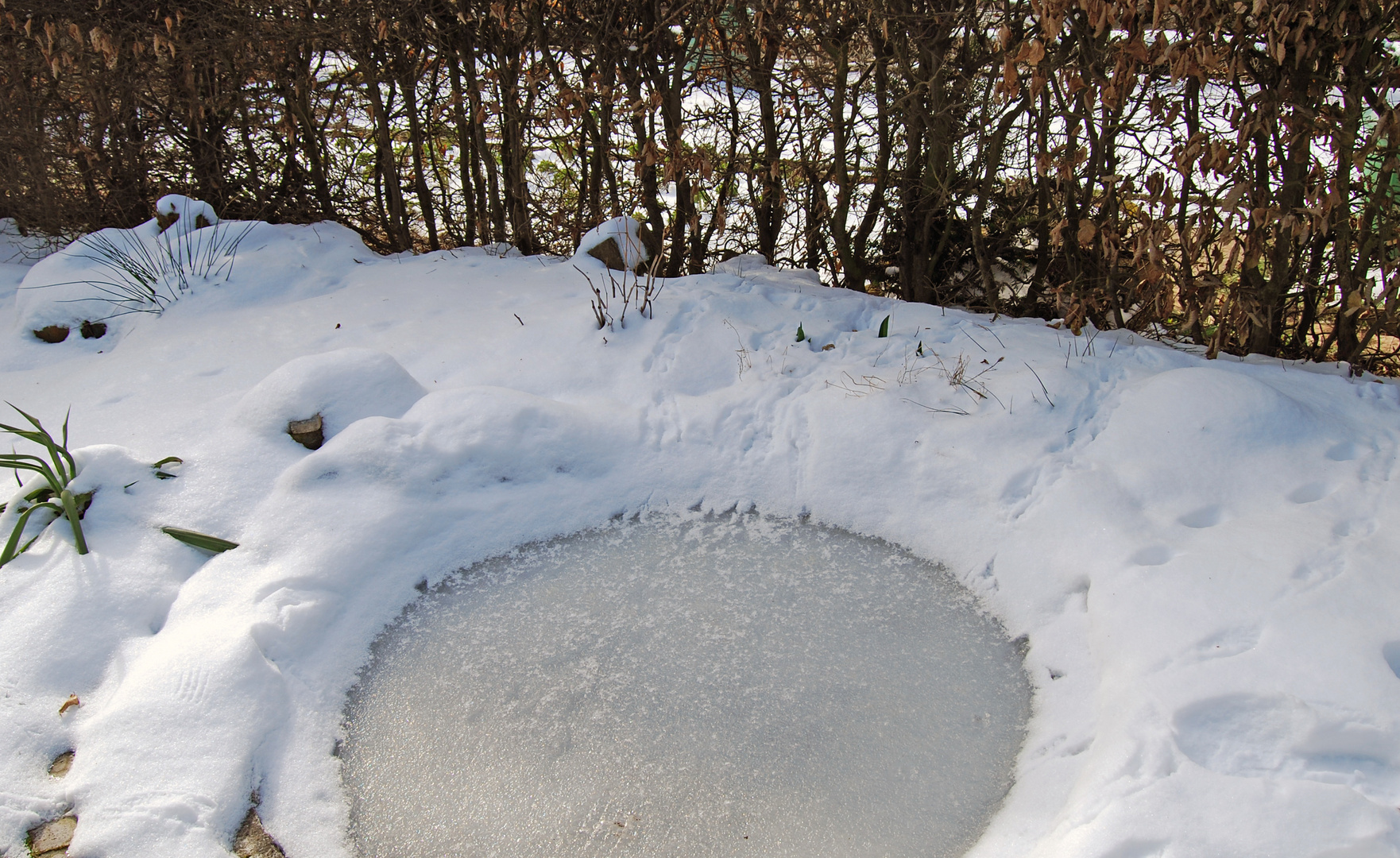 Spuren im Schnee