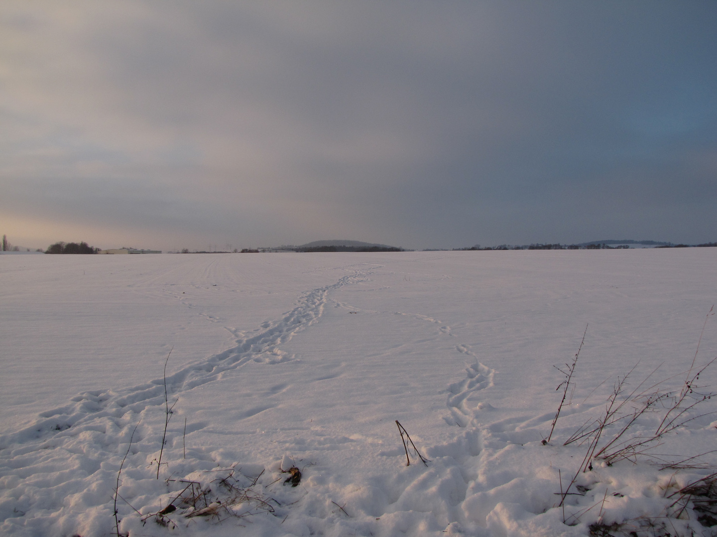 Spuren im Schnee