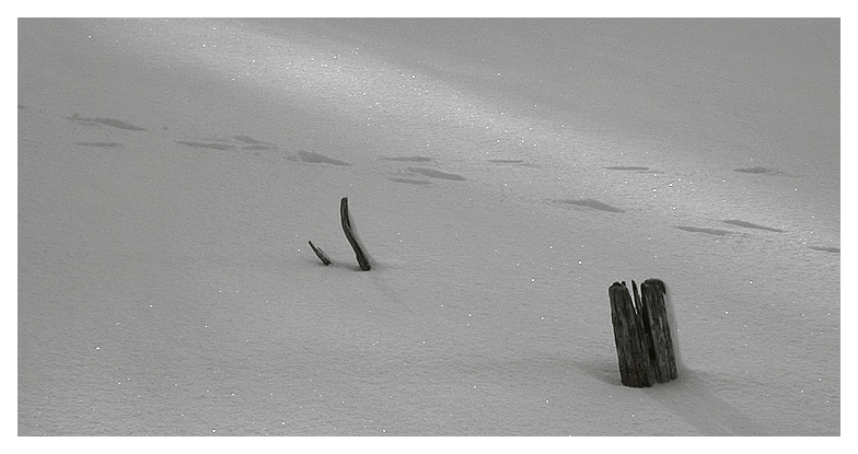 Spuren im Schnee