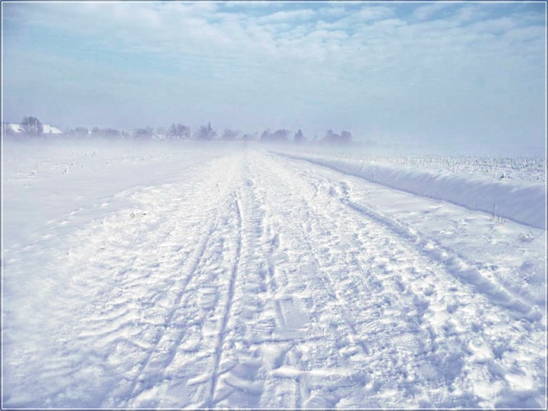 spuren im schnee ...