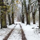 Spuren im Schnee