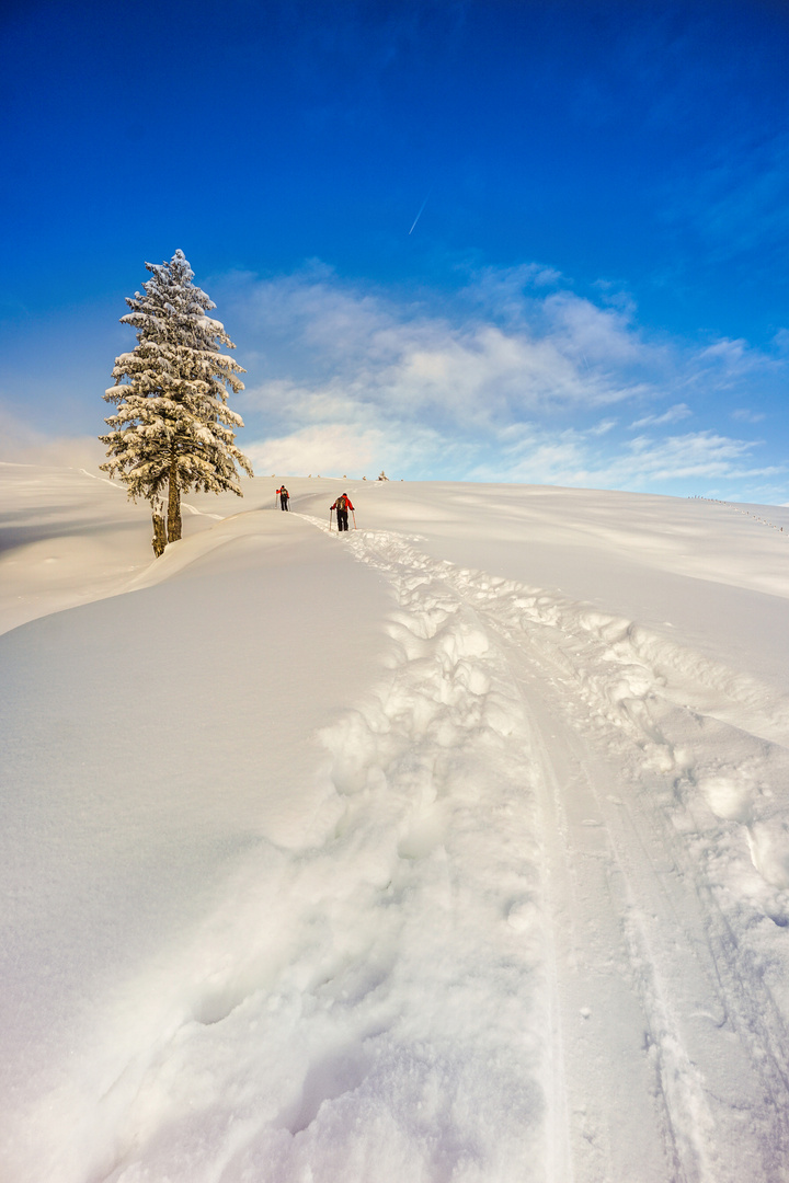 Spuren im Schnee