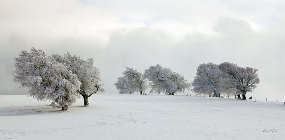 spuren im schnee