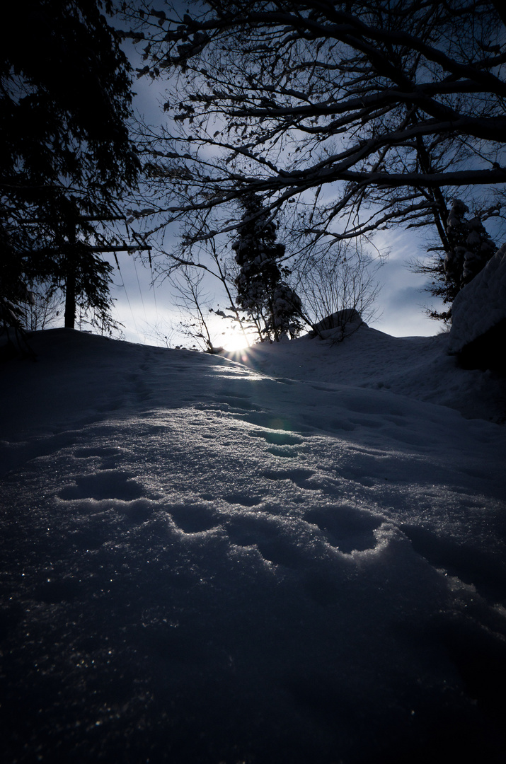 Spuren im Schnee