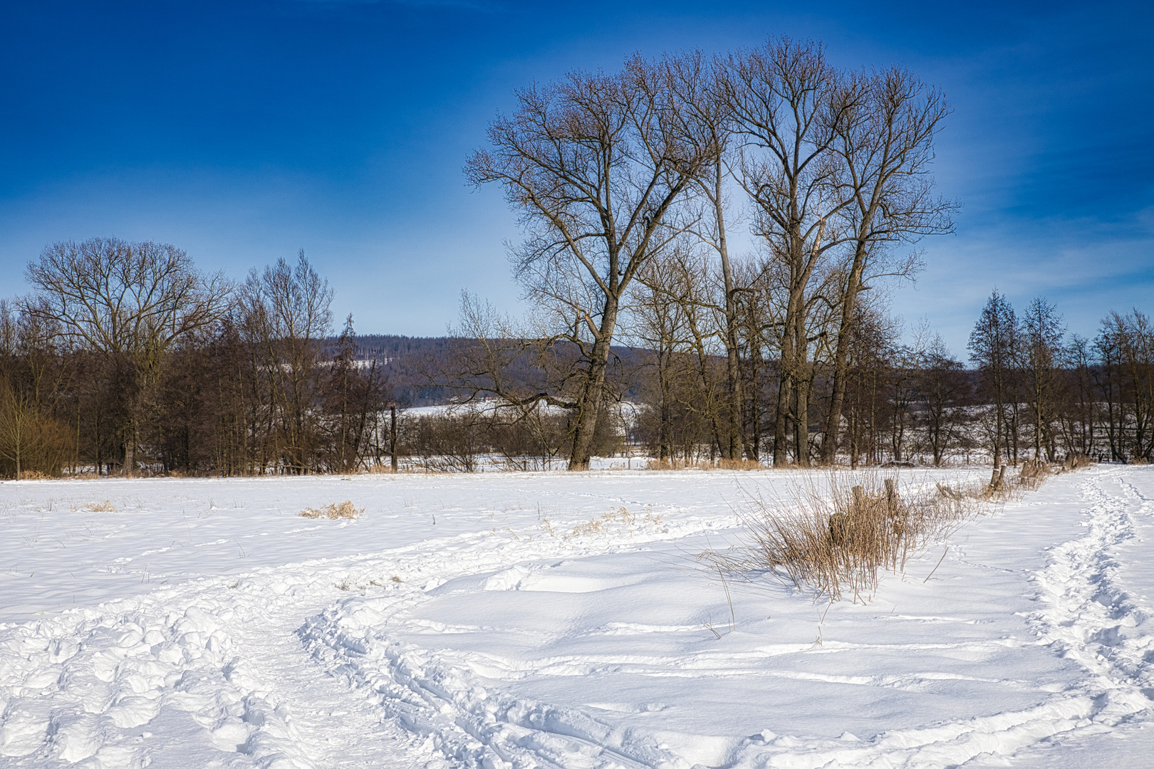 Spuren im Schnee