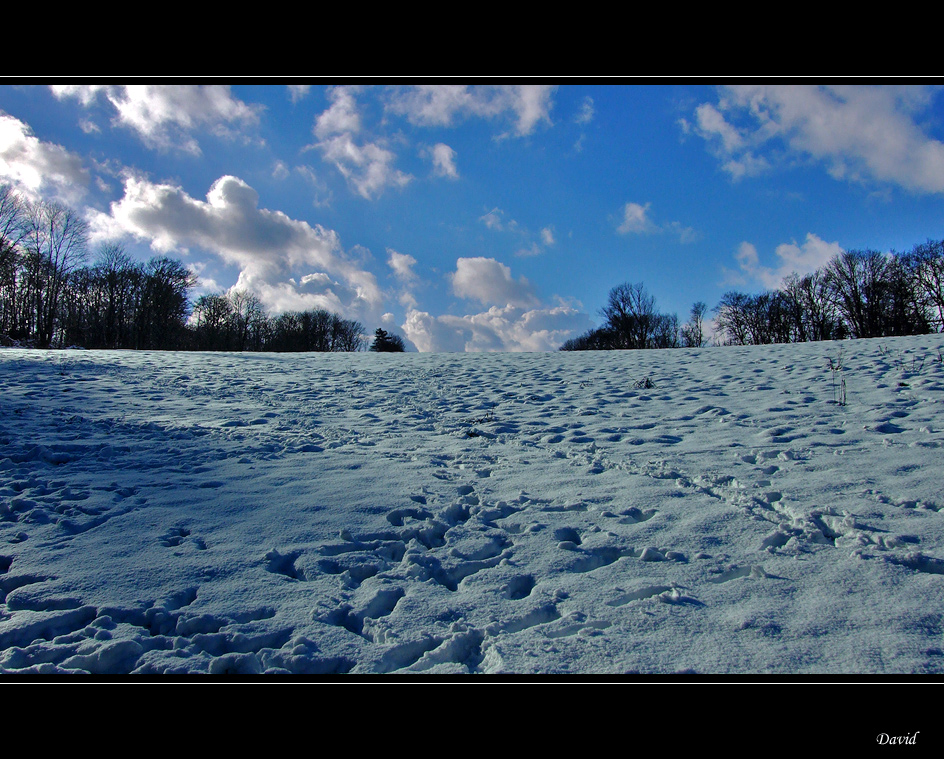 Spuren im Schnee