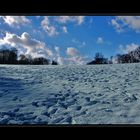 Spuren im Schnee