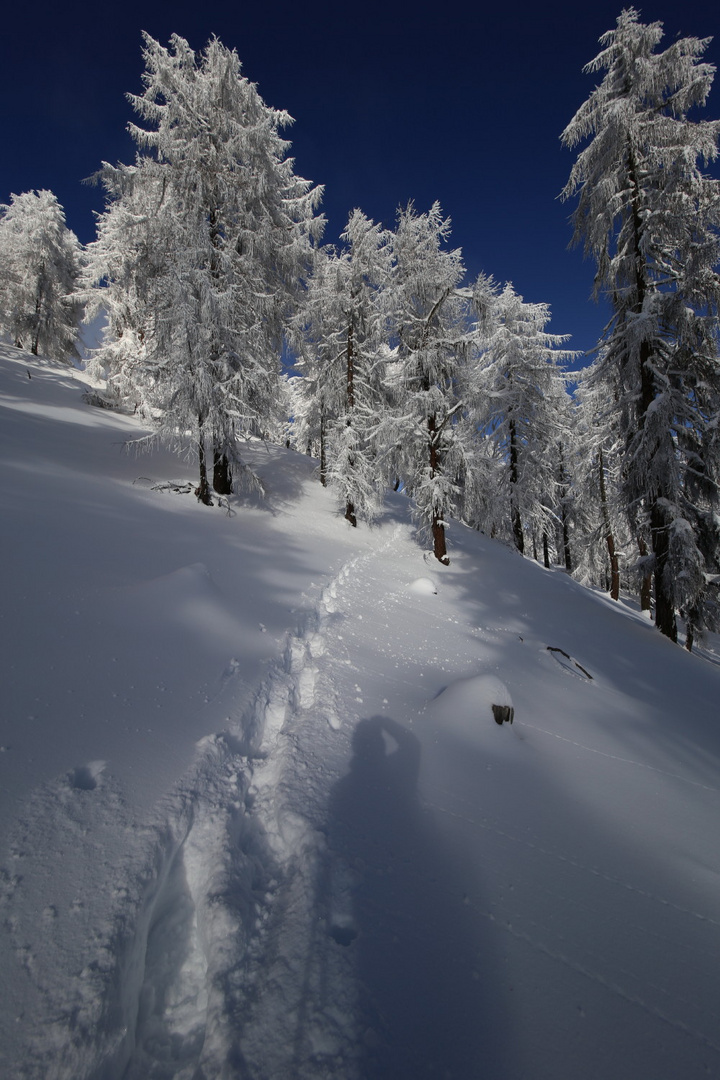 Spuren im Schnee