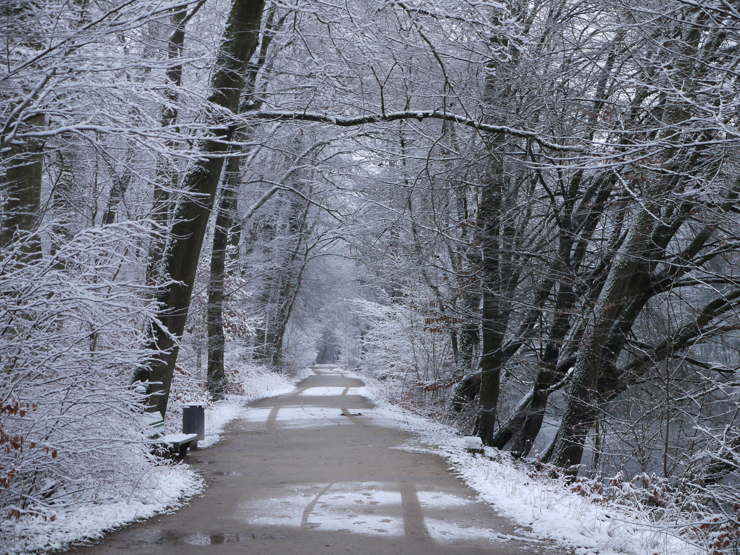 Spuren im Schnee