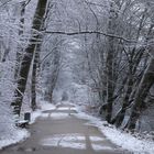 Spuren im Schnee