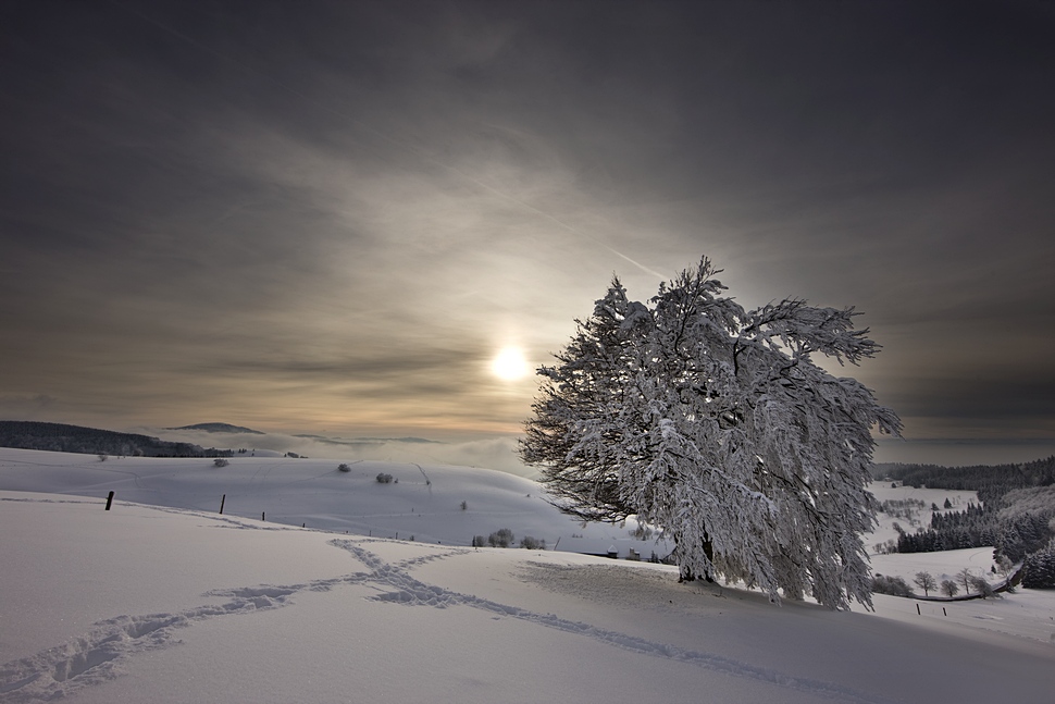 Spuren im Schnee 2