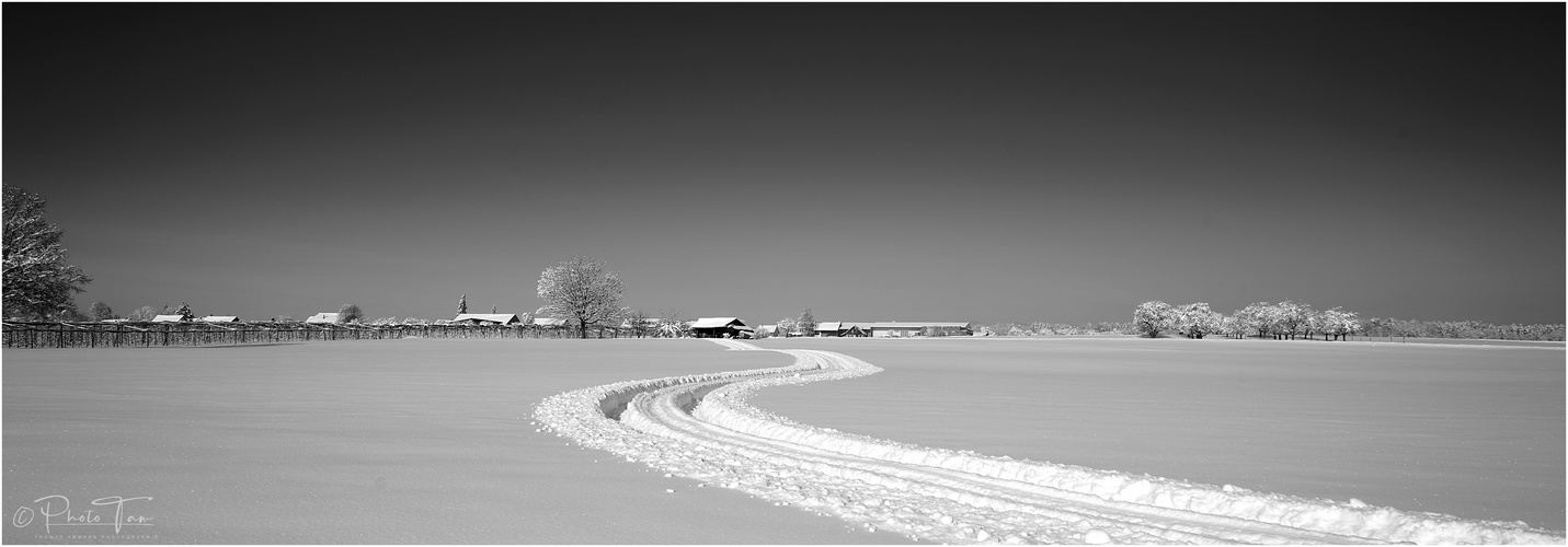 Spuren im Schnee 2