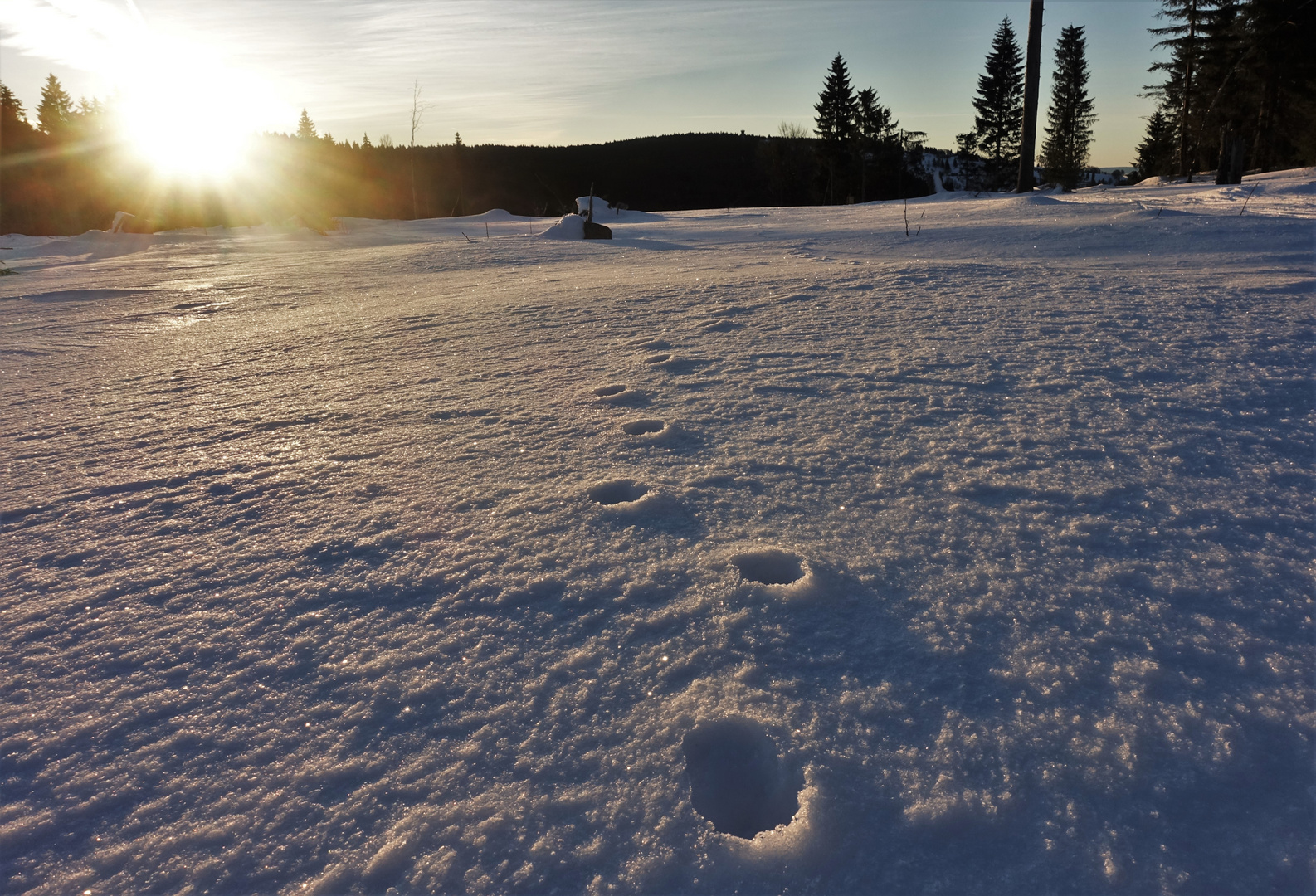 Spuren im Schnee 2