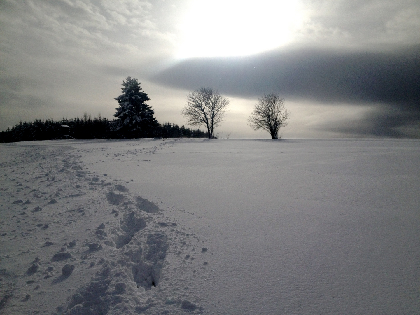 Spuren im Schnee