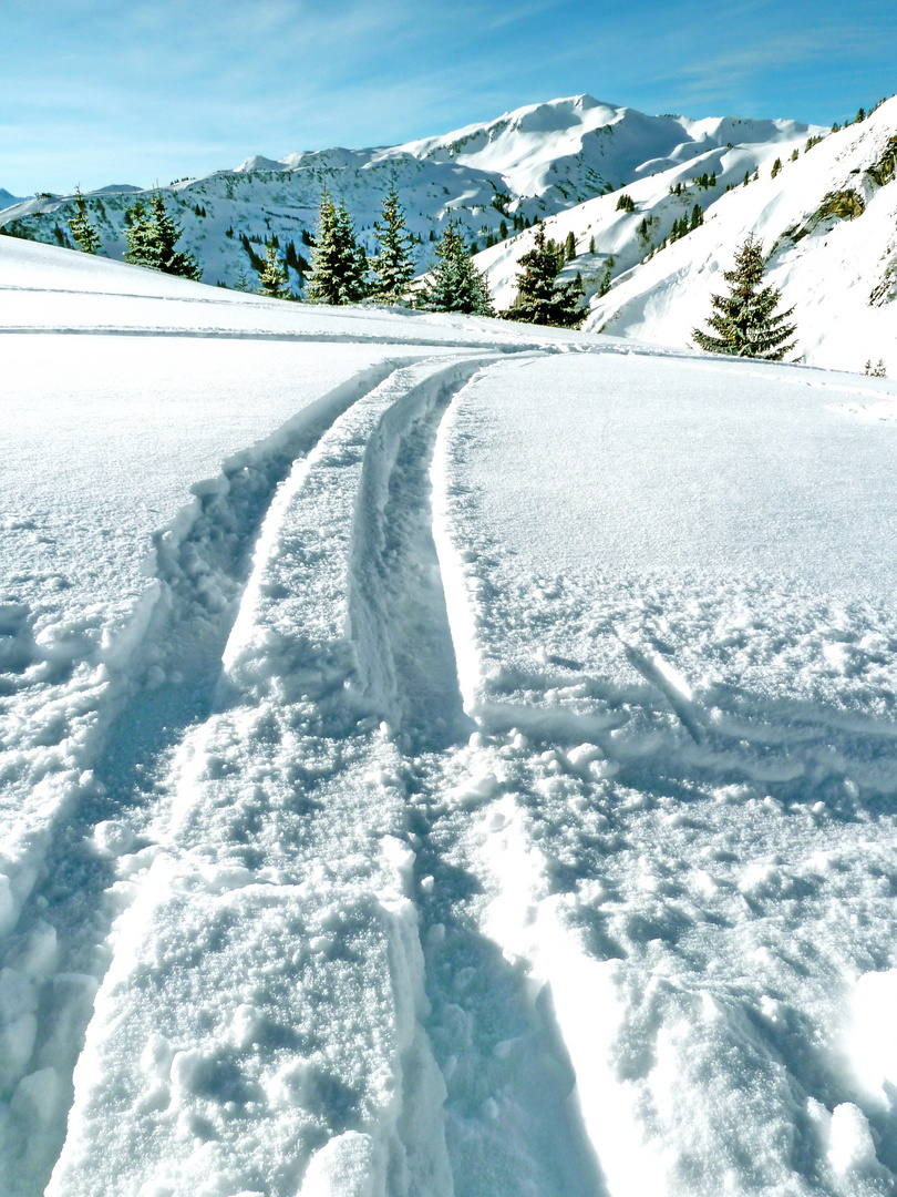 Spuren im Schnee