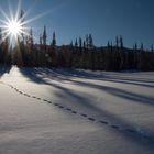 Spuren im Schnee