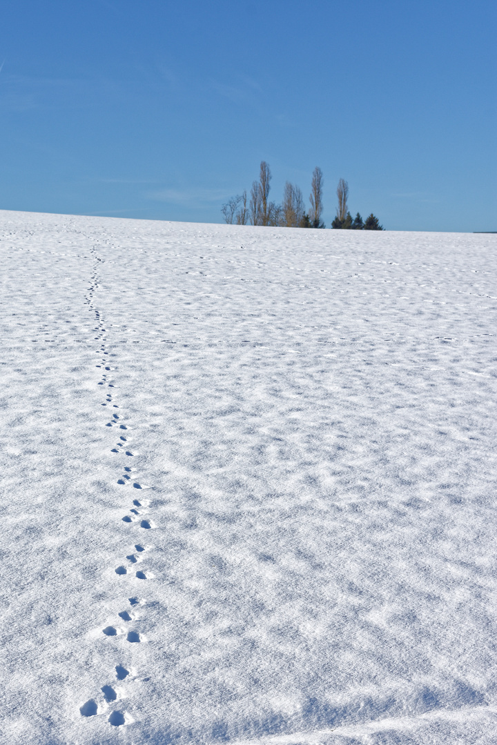 Spuren im Schnee