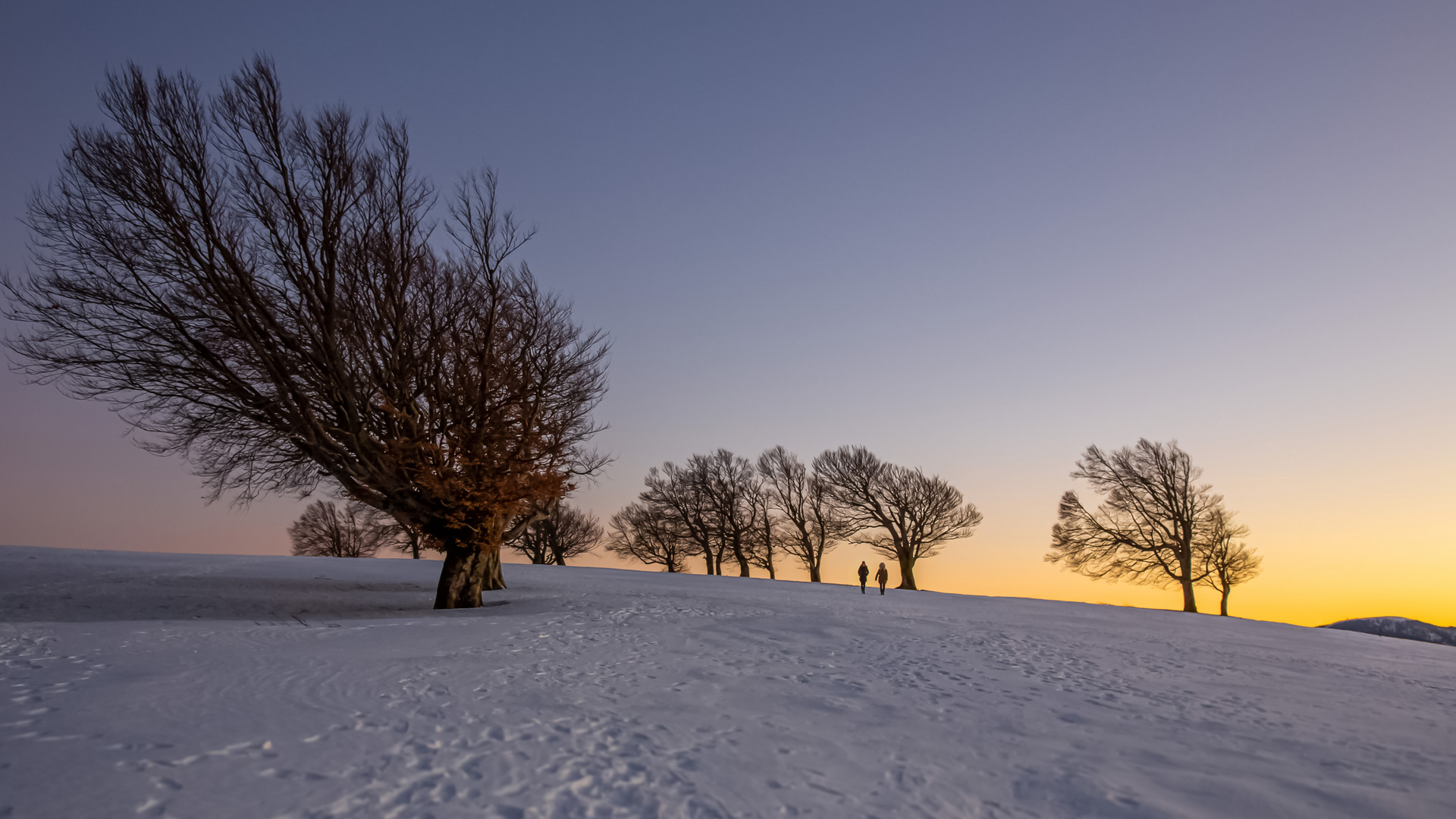 Spuren im Schnee...