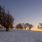 Spuren im Schnee...