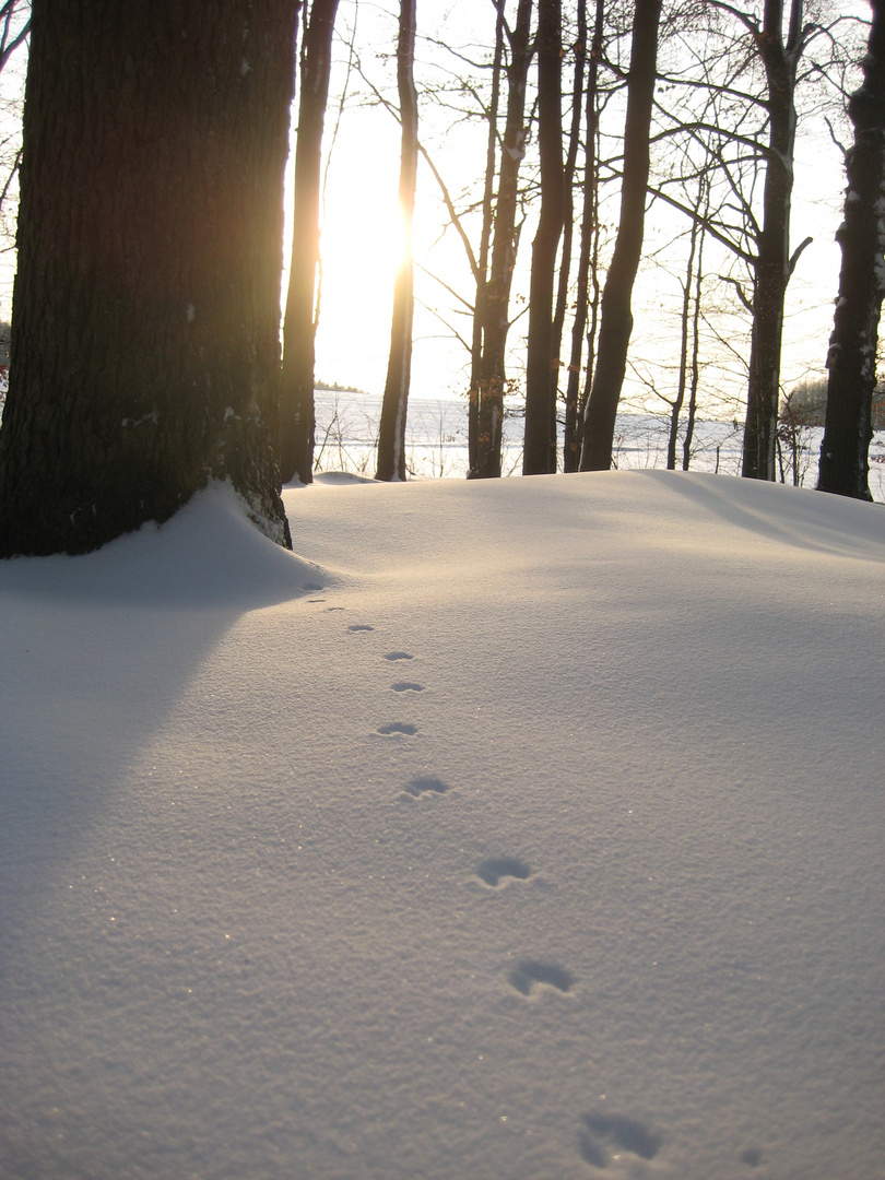 Spuren im Schnee