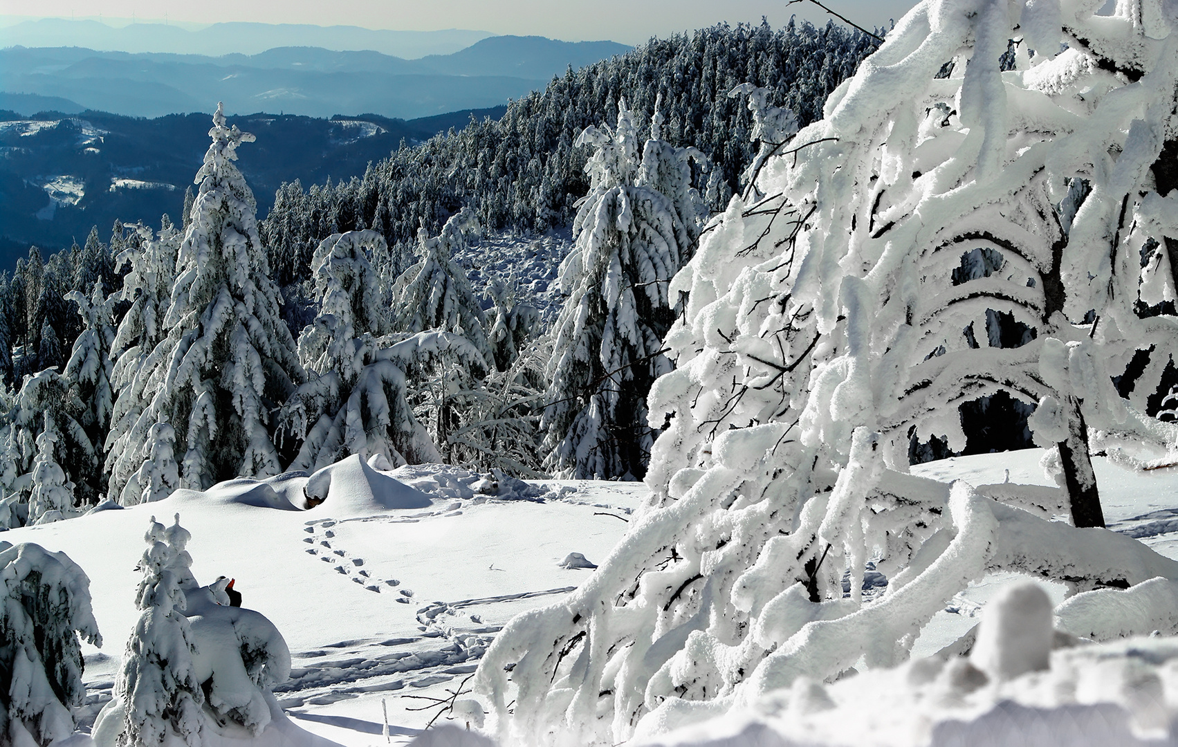 Spuren im Schnee