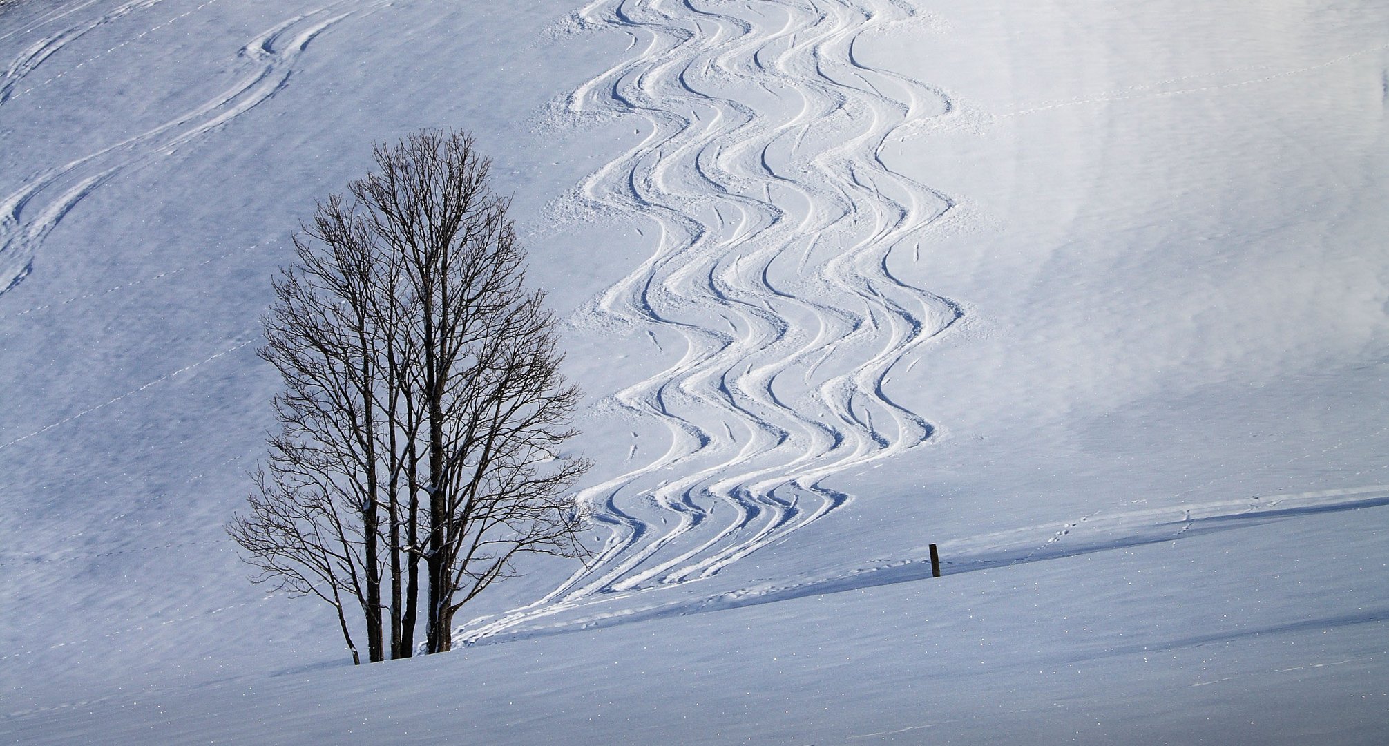 Spuren im Schnee