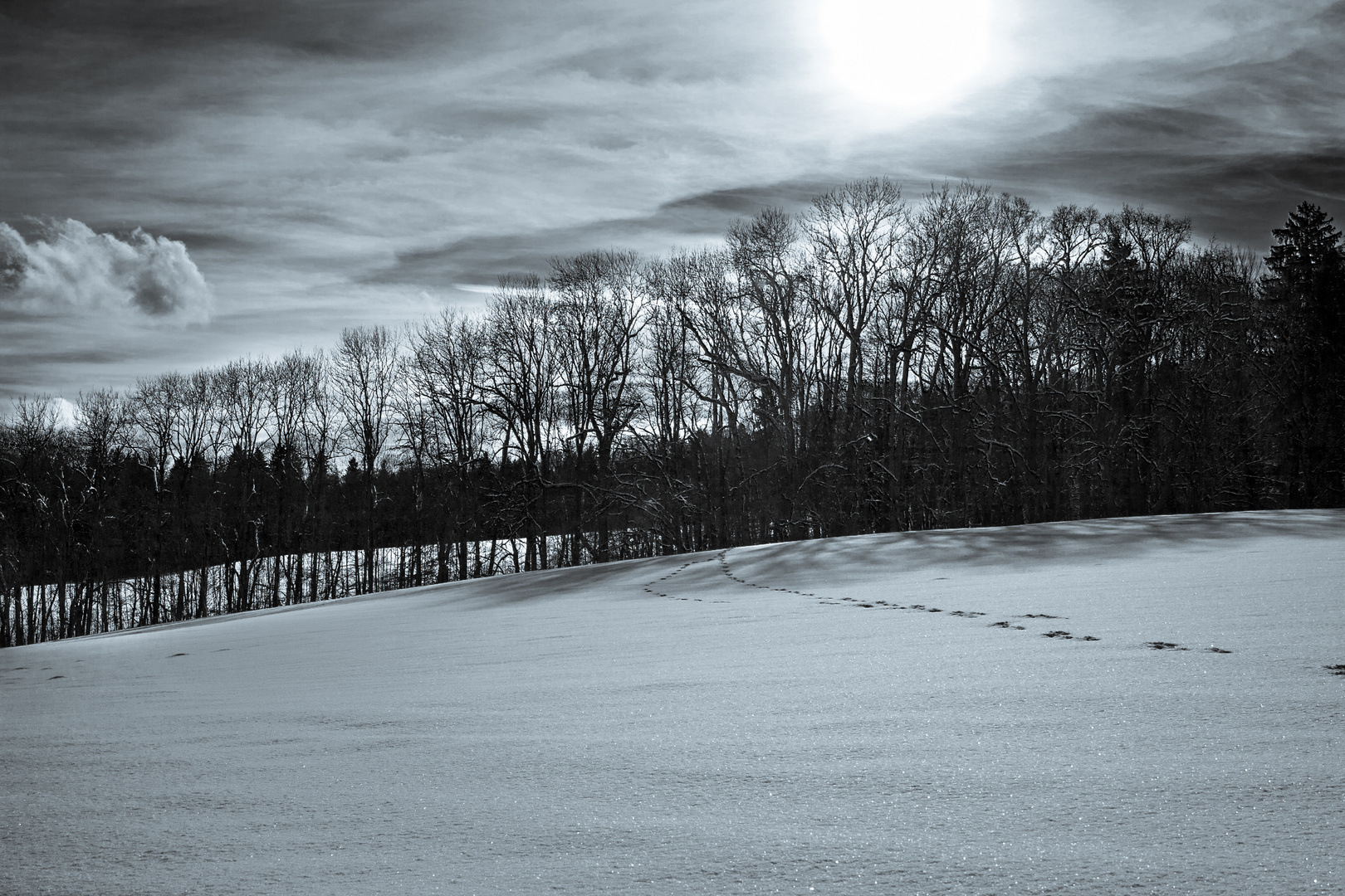 Spuren im Schnee