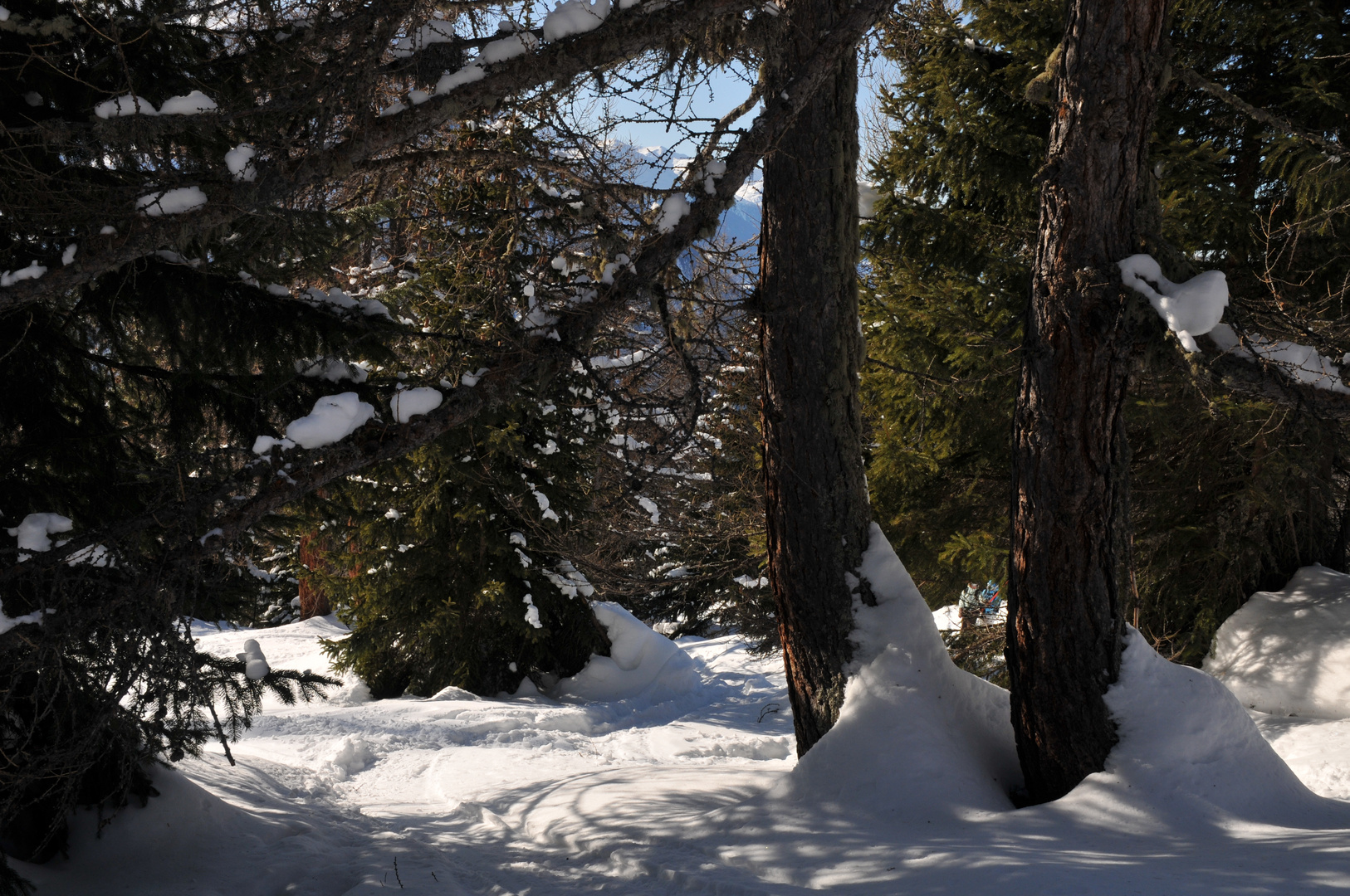 Spuren im Schnee