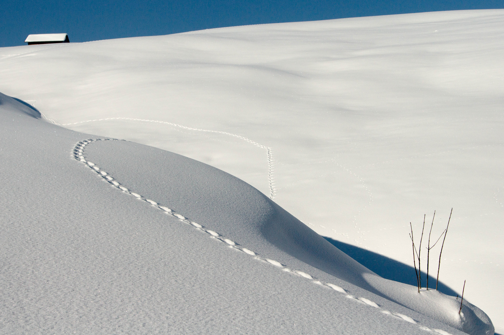 Spuren im Schnee