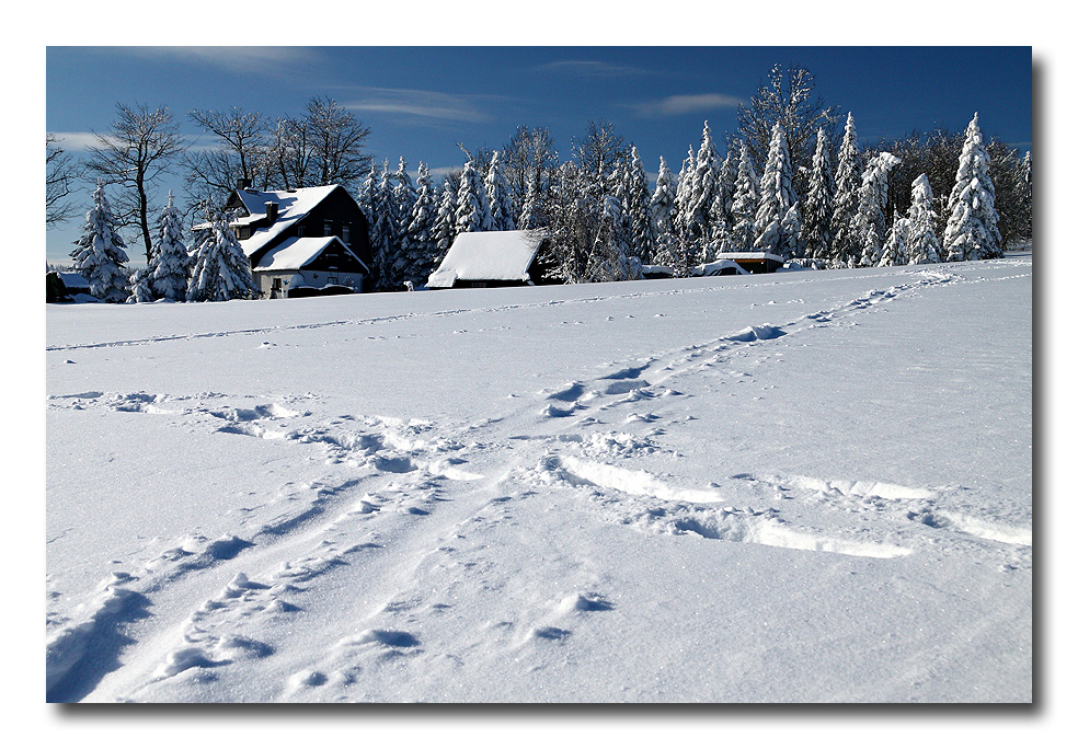 Spuren im Schnee