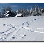 Spuren im Schnee