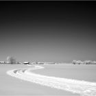 Spuren im Schnee