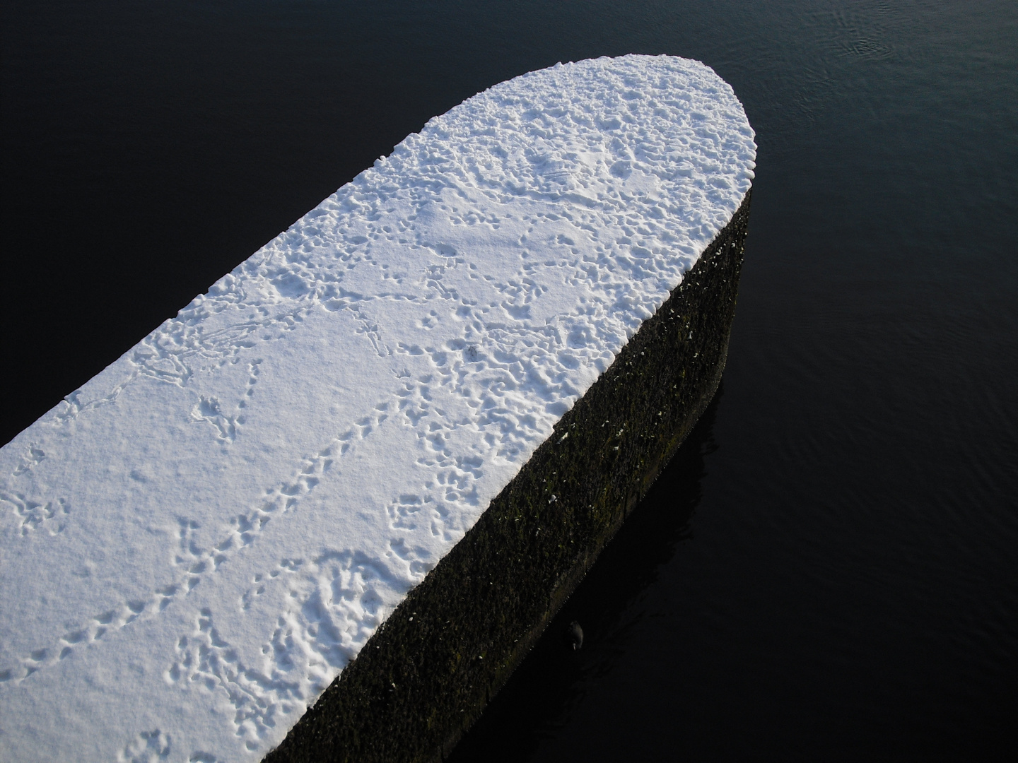 Spuren im Schnee