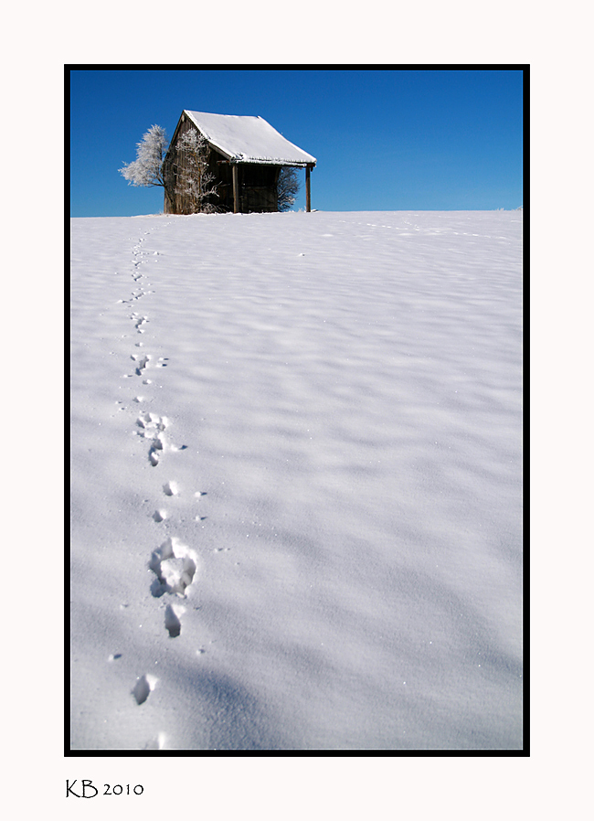 Spuren im Schnee