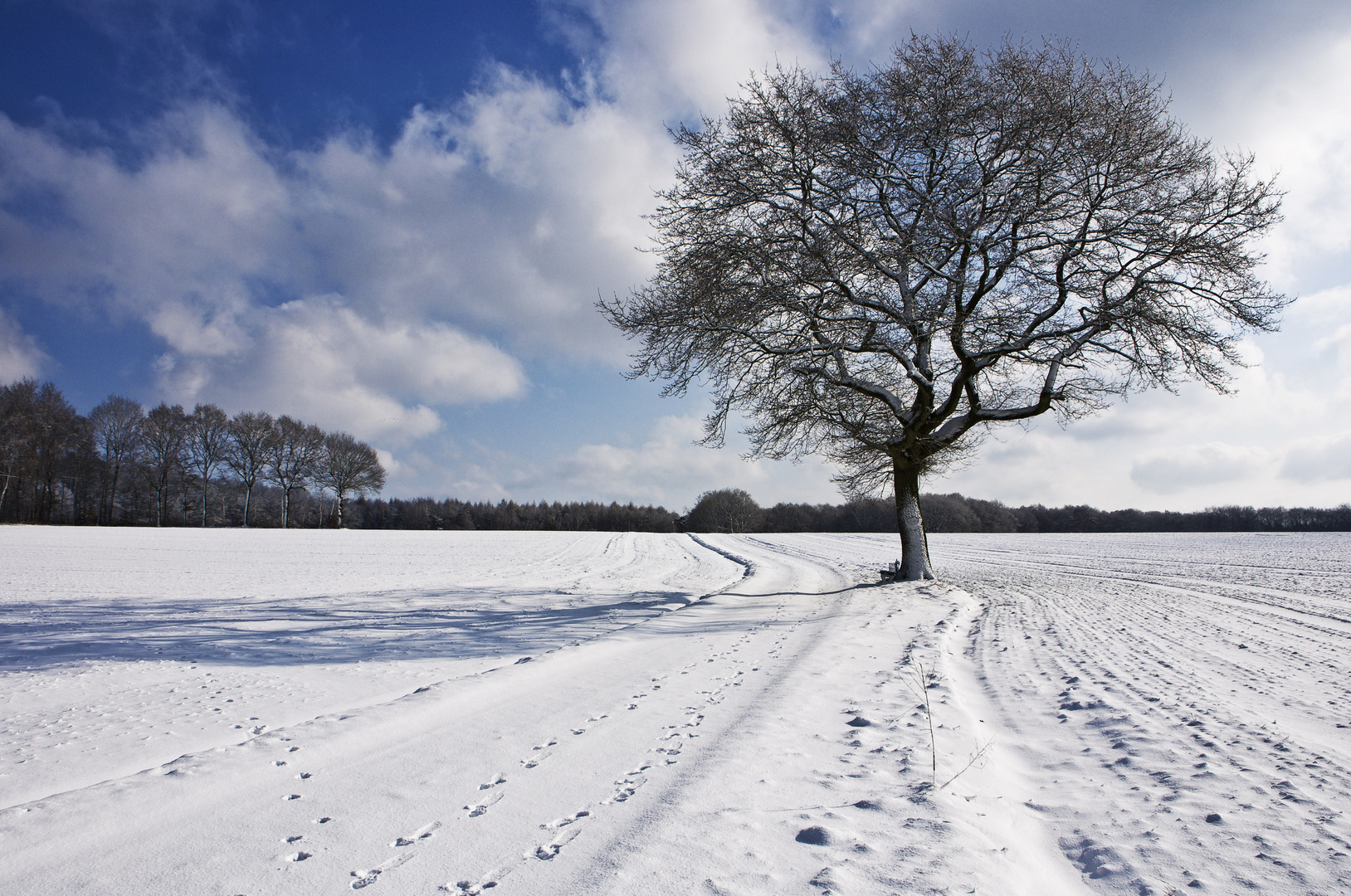 Spuren im Schnee