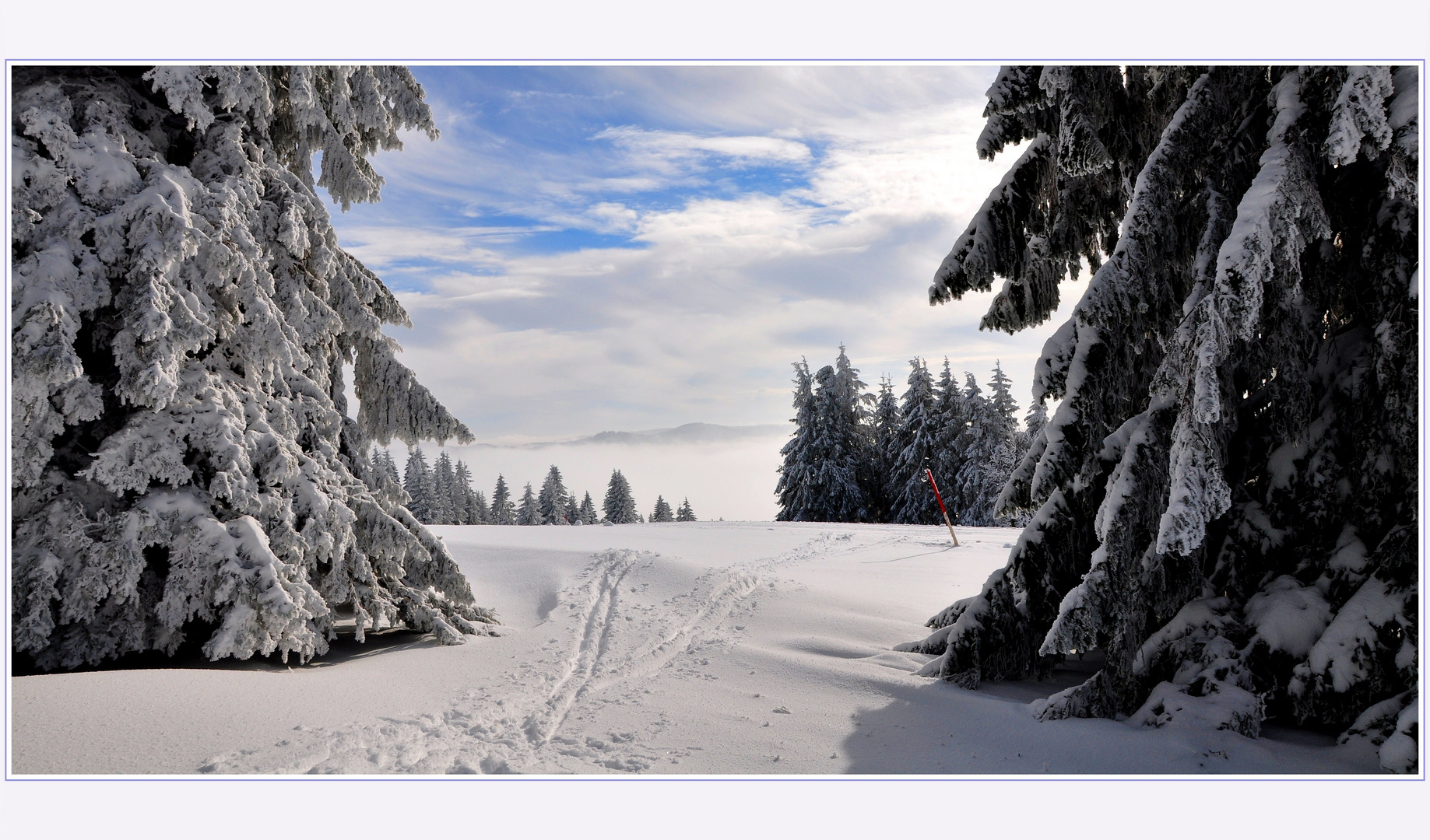 Spuren im Schnee...