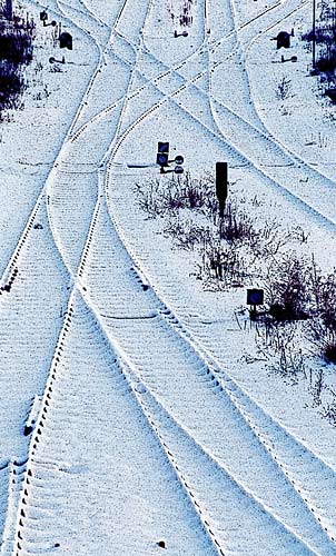 Spuren im Schnee