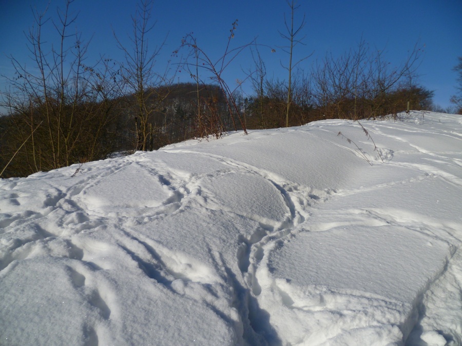 Spuren im Schnee